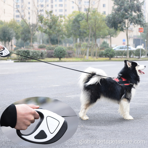  New Led Retractable Pet Dog Leash Custom Logo Supplier